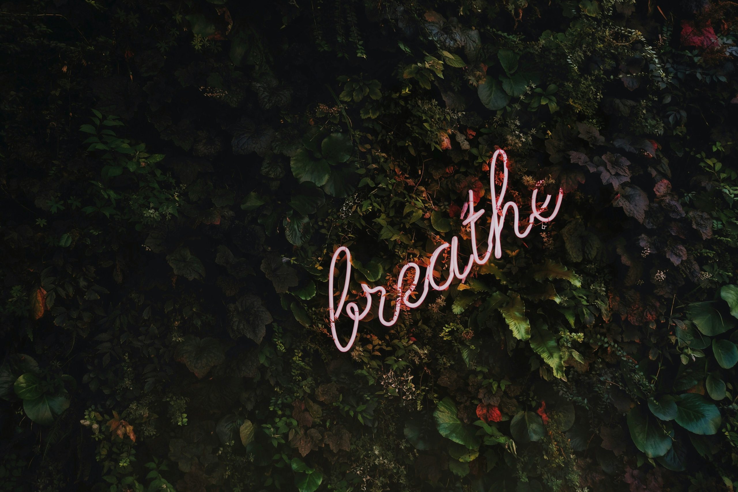 Promoting Digital Wellbeing: The Role of Technology Companies in Encouraging Healthy Digital Habits