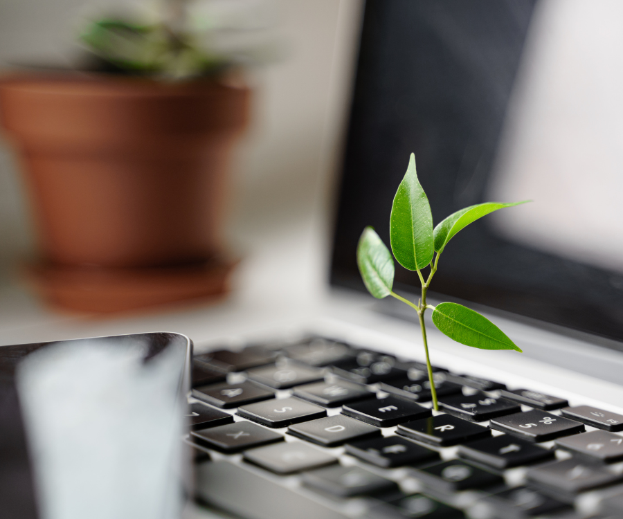 Sustainability and Digital: 4 Ways the Green Transformation Is Also a Tech Transformation